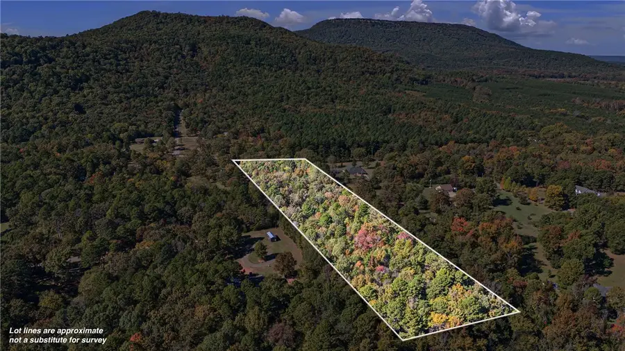 10528 Bethel, Dardanelle, AR 72834 - Image #3