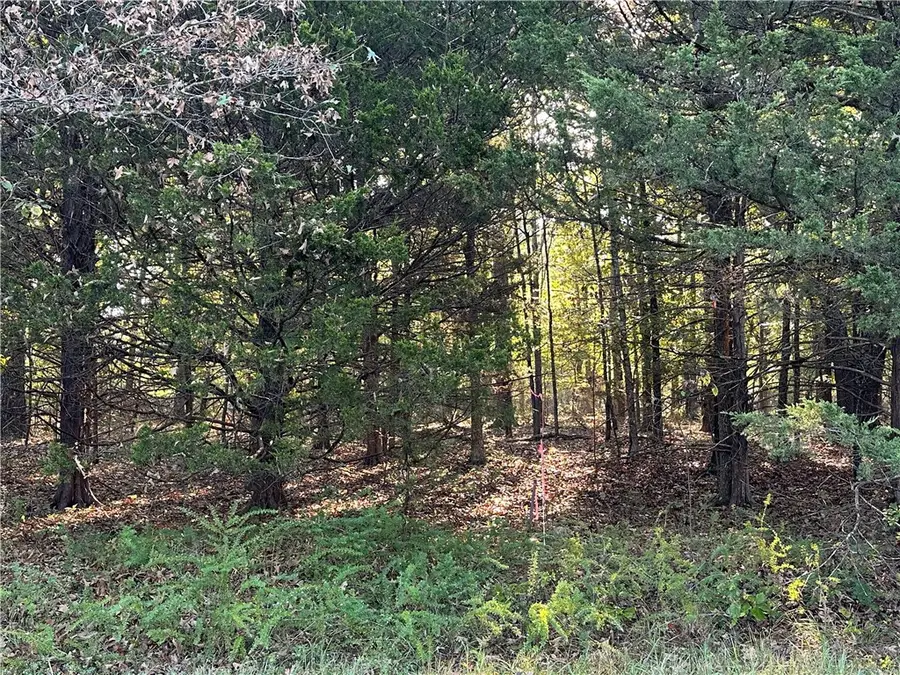 001 Hand Cove Road, Elizabeth, AR 72531 - #3