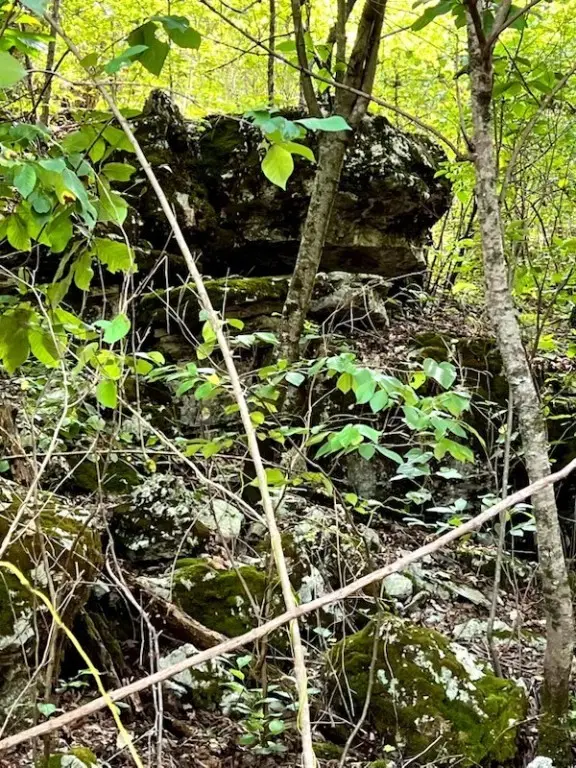 1272 Ramblewood Trail, Yellville, AR 72687 - Image #2