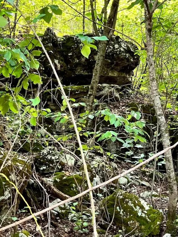 1272 Ramblewood Trail, Yellville, AR 72687 - #3