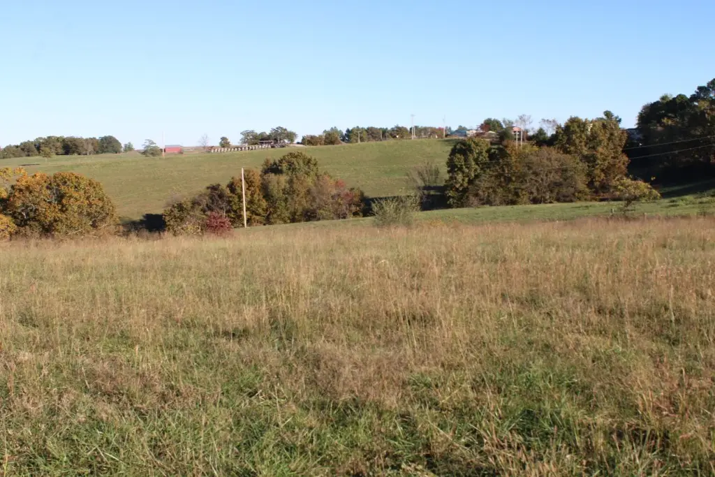 3.1 Acres - Zinc Road, Harrison, AR 72601 - Image #1