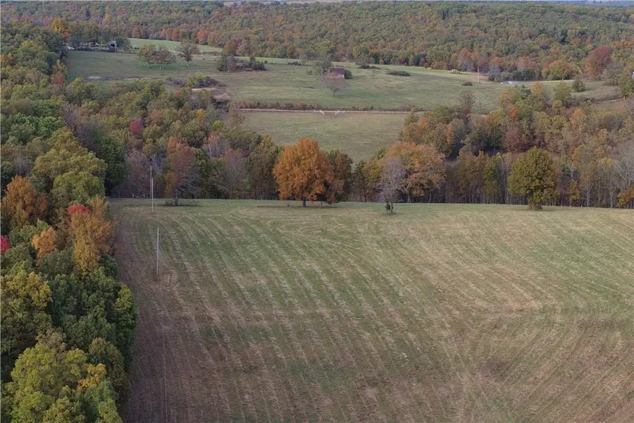 Tract 3 Plumlee Road, Compton, AR 72624 - Image #3