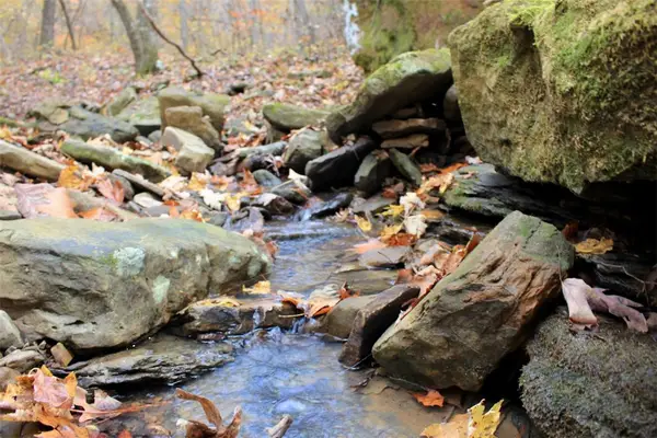 000 TBD Madison 3440, Kingston, AR 72742