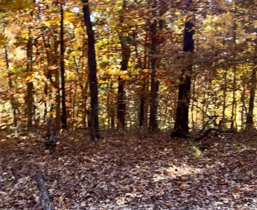 Lot 3, Block 3 Bridgeport Lane, Bella Vista, AR 72715 - Image #3