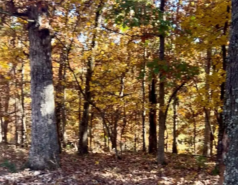 Newbury Lane, Bella Vista, AR 72714 - #2