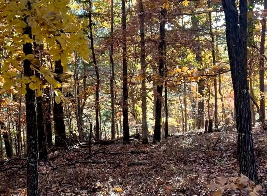 Newbury Lane, Bella Vista, AR 72714 - #3