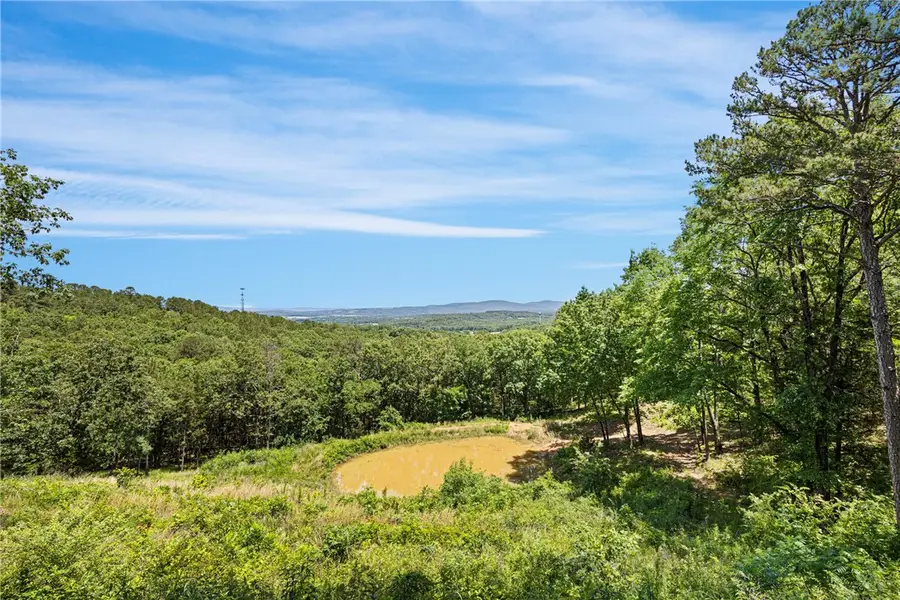 9417 Puddin Ridge Road, Ozark, AR 72949 - Image #3