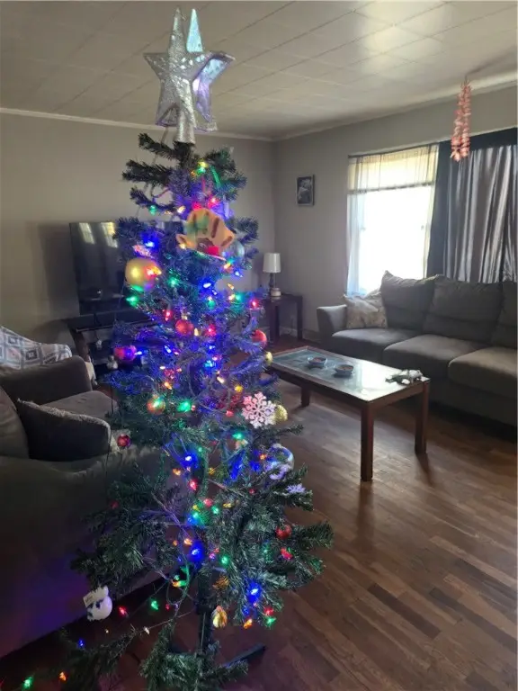 611 S Harrison Avenue, Aurora, MO 65605 - #2