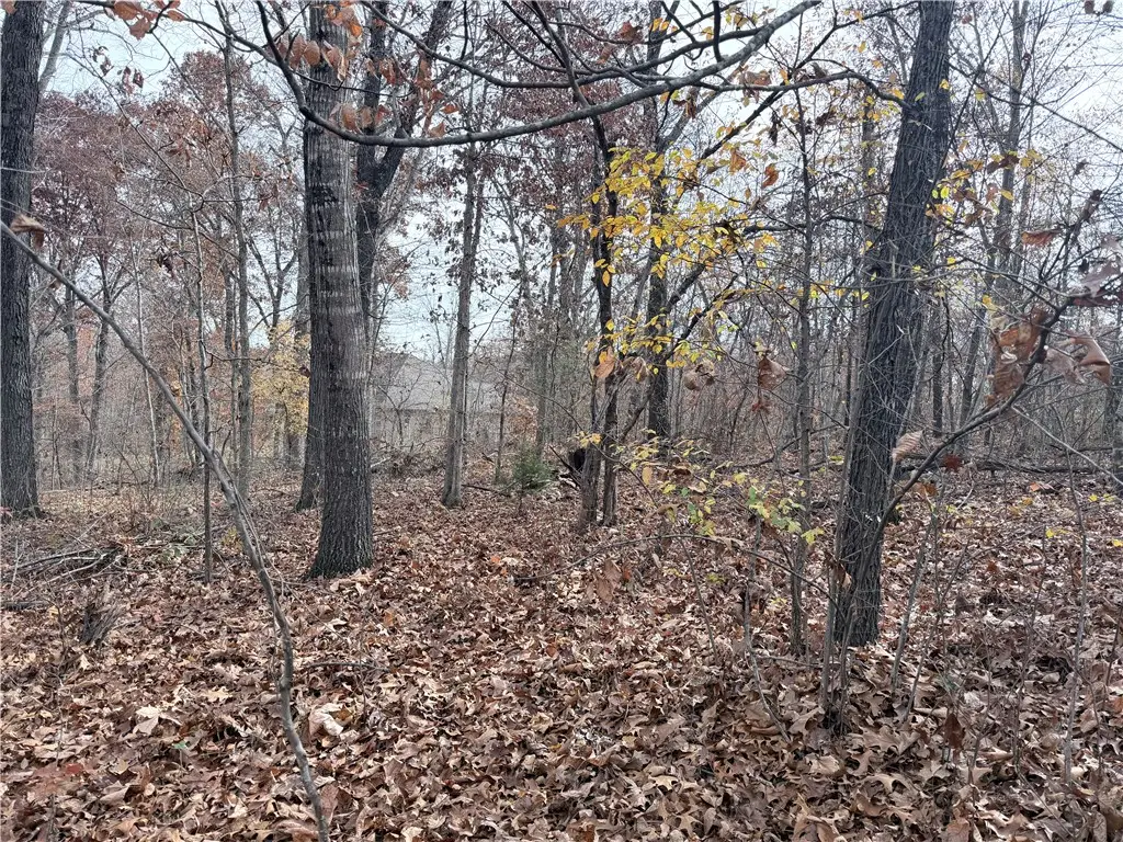 Aaron Lane, Bella Vista, AR 72715 - Image #1