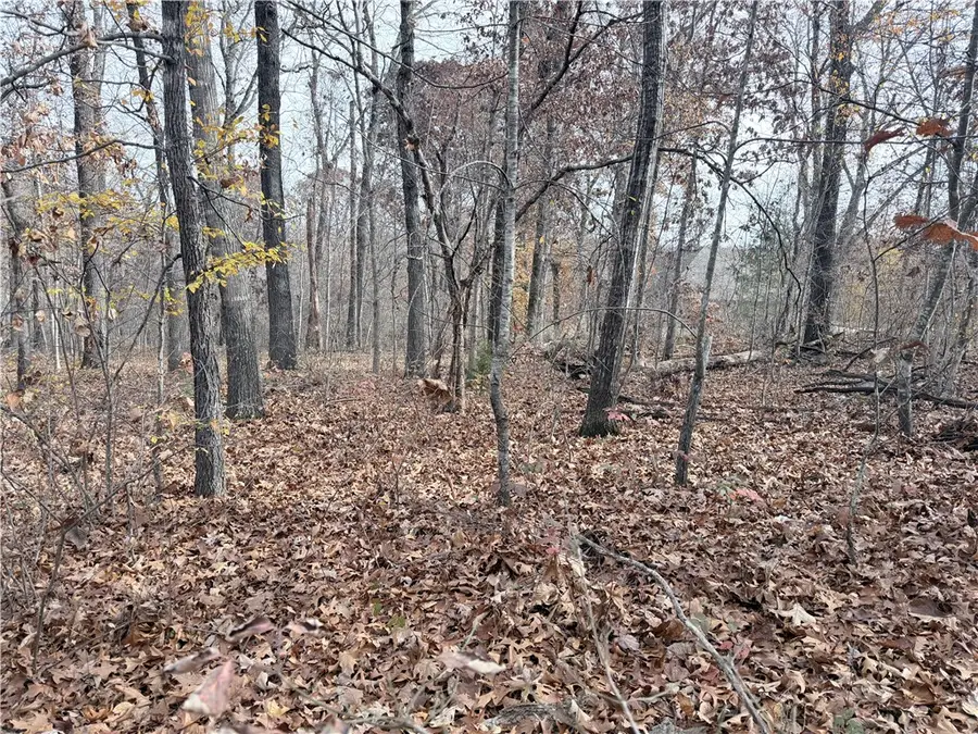 Aaron Lane, Bella Vista, AR 72715 - Image #2