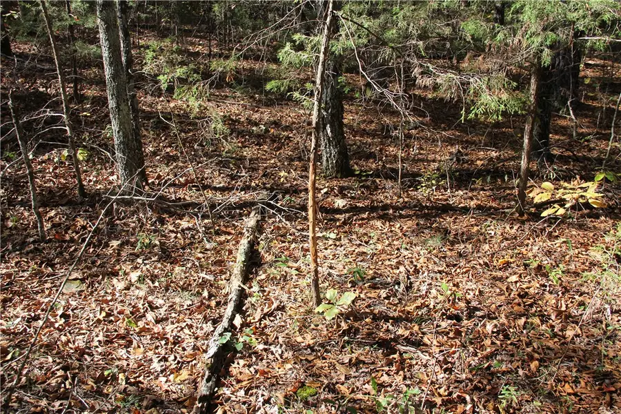 Cr 935, Berryville, AR 72616 - Image #3