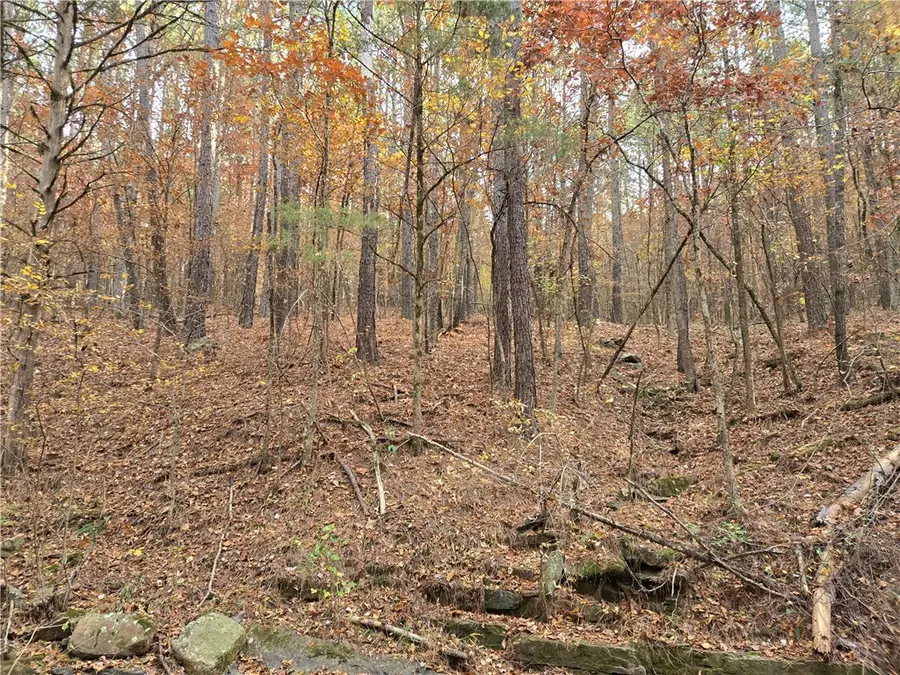 000 Cedar Branch, Hattieville, AR 72063 - #2