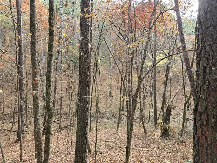 000 Cedar Branch, Hattieville, AR 72063 - #3