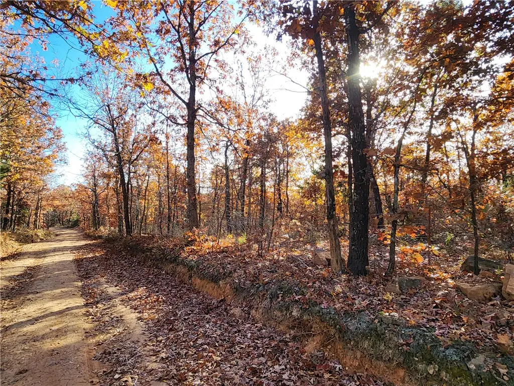 Cr 18, Compton, AR 72624 - Image #1