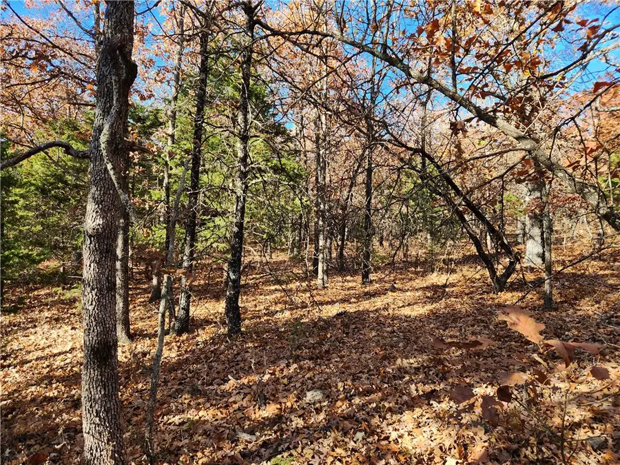 Cr 18, Compton, AR 72624 - Image #3