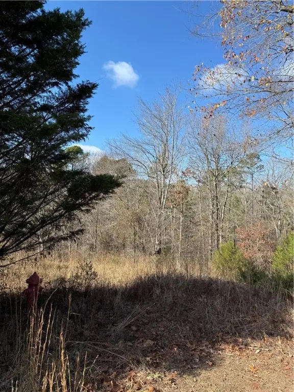 Quicker Still Lane, Dover, AR 72837 - Image #2