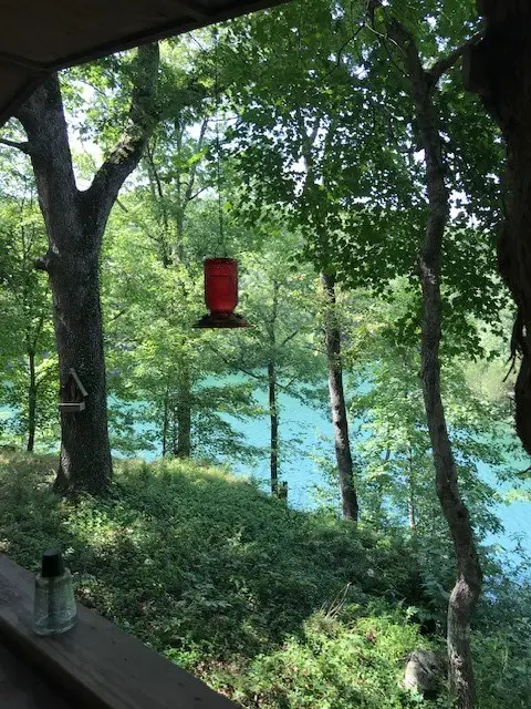 3109 County Road 148, Eureka Springs, AR 72632 - Image #3