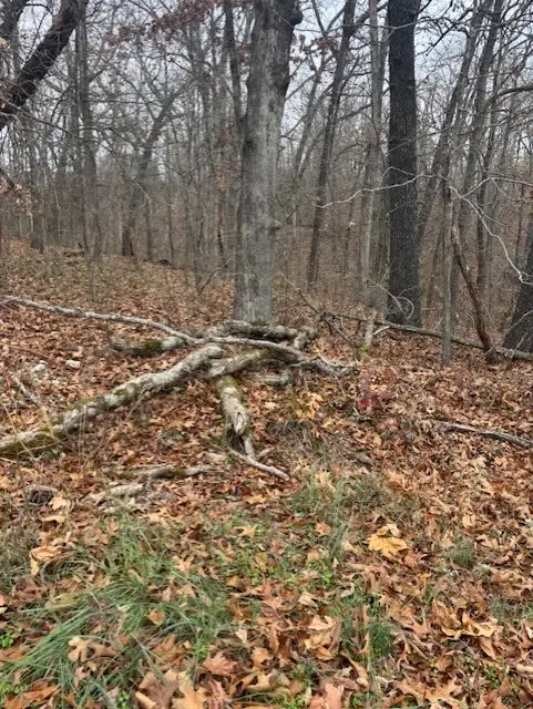 Exmoor Lane, Bella Vista, AR 72715 - Image #1