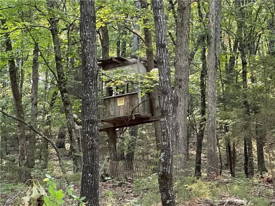 Tract-B Madison Cr 6021, Elkins, AR 72727 - Image #3