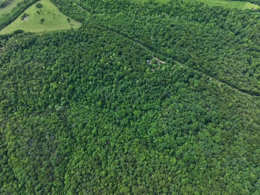 8 Acres Stone Road, Noel, MO 64854 - Image #2