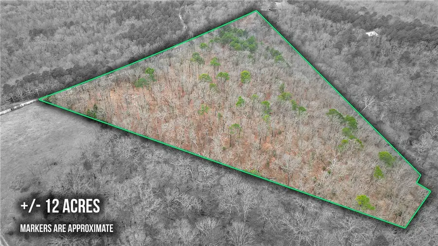 293 County Road 315, Eureka Springs, AR 72632 - Image #3