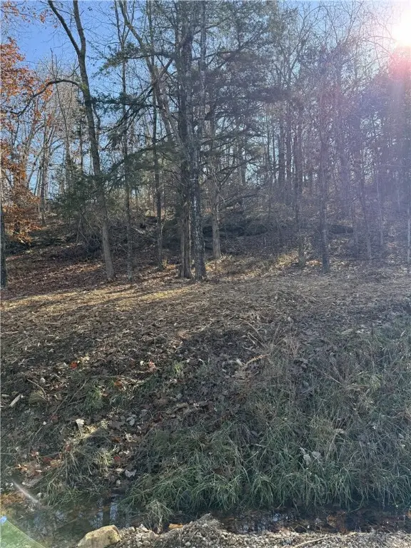 Dogwood Road, Rogers, AR 72756 - Image #3