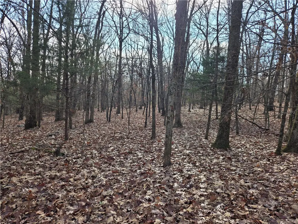 TBD Blue Mountain Road, Prairie Grove, AR 72753 - Image #1