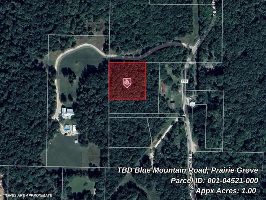 TBD Blue Mountain Road, Prairie Grove, AR 72753 - Image #2