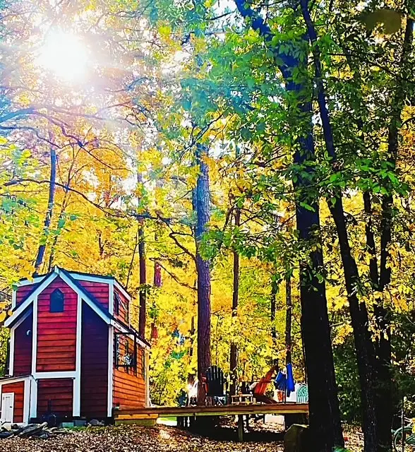 342 Lightning Ridge Road, Eureka Springs, AR 72632 - Image #1