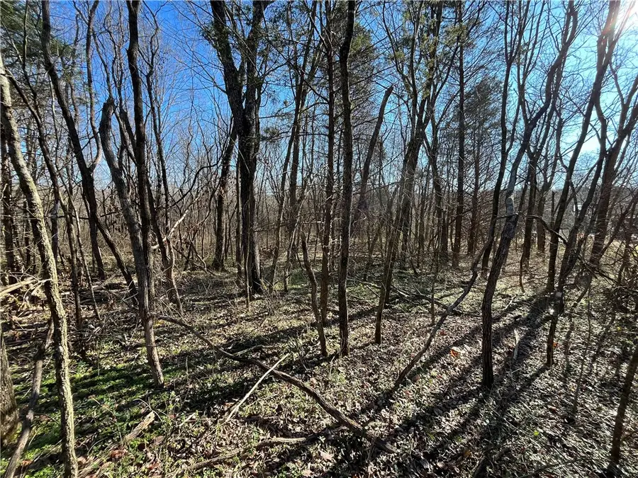 Lot 19, Block 1 Oniell Circle, Bella Vista, AR 72715 - Image #2