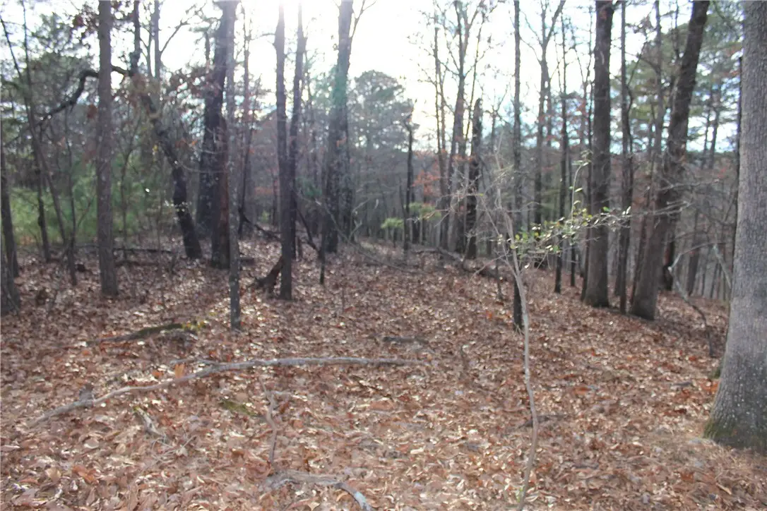 Horseshoe Trail, Kansas, OK 74347 - Image #1