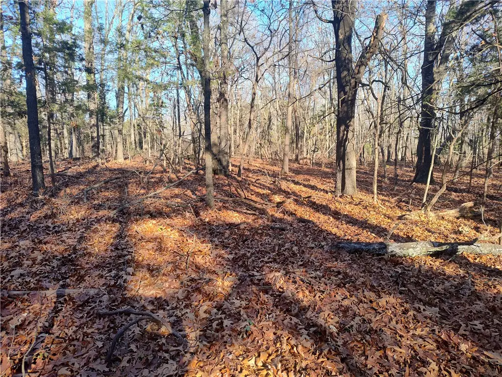 TBD Taylor Barnett Road, Garfield, AR 72732 - Image #1