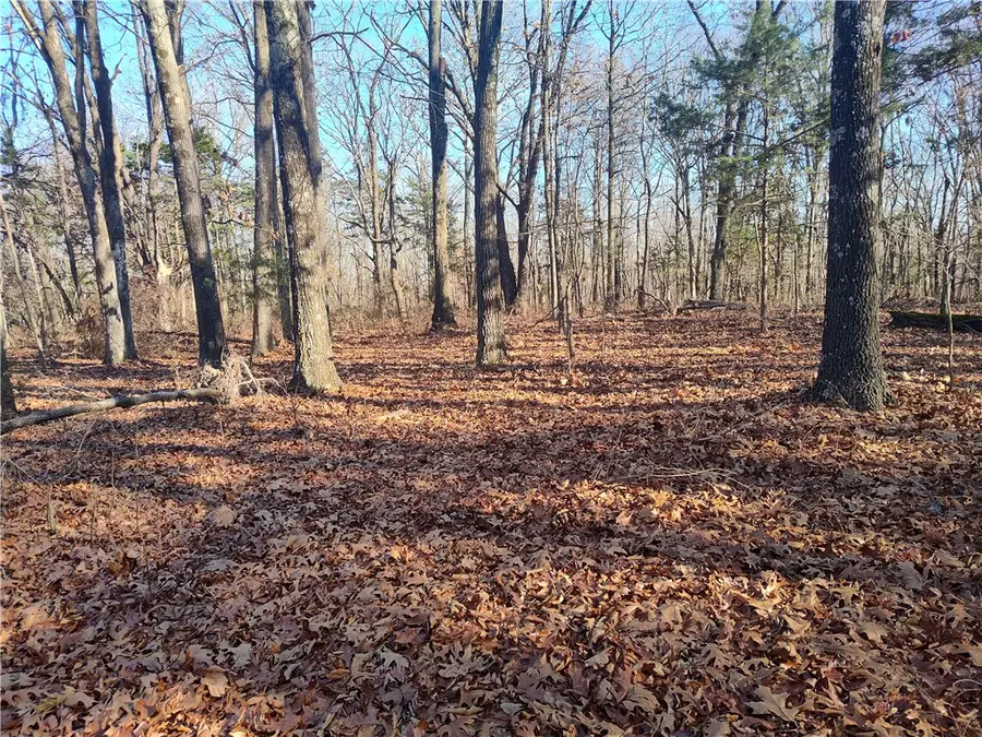 TBD Taylor Barnett Road, Garfield, AR 72732 - Image #2