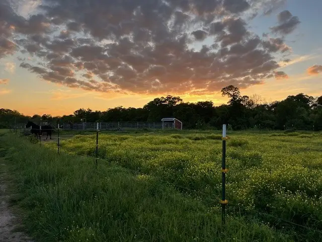 2.0 Acres E Mcnelly Road, Bentonville, AR 72712 - Image #3