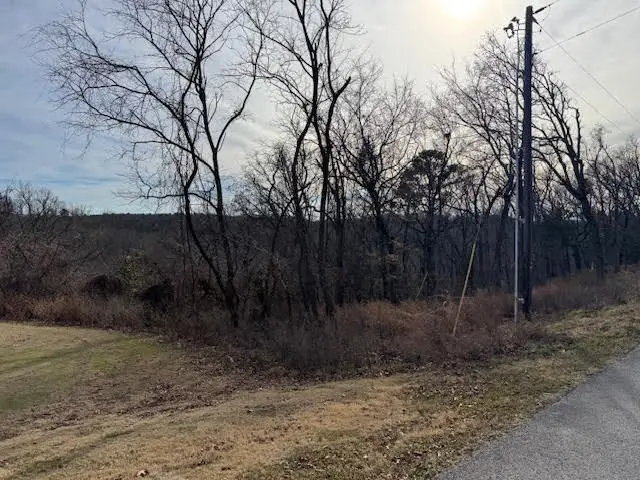 7 S Hills Loop, Holiday Island, AR 72631 - Image #1