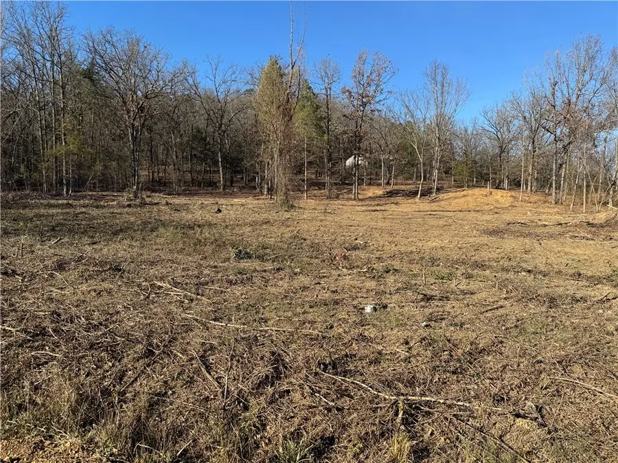 568 Peckerwood Lane, New Blaine, AR 72851 - Image #2