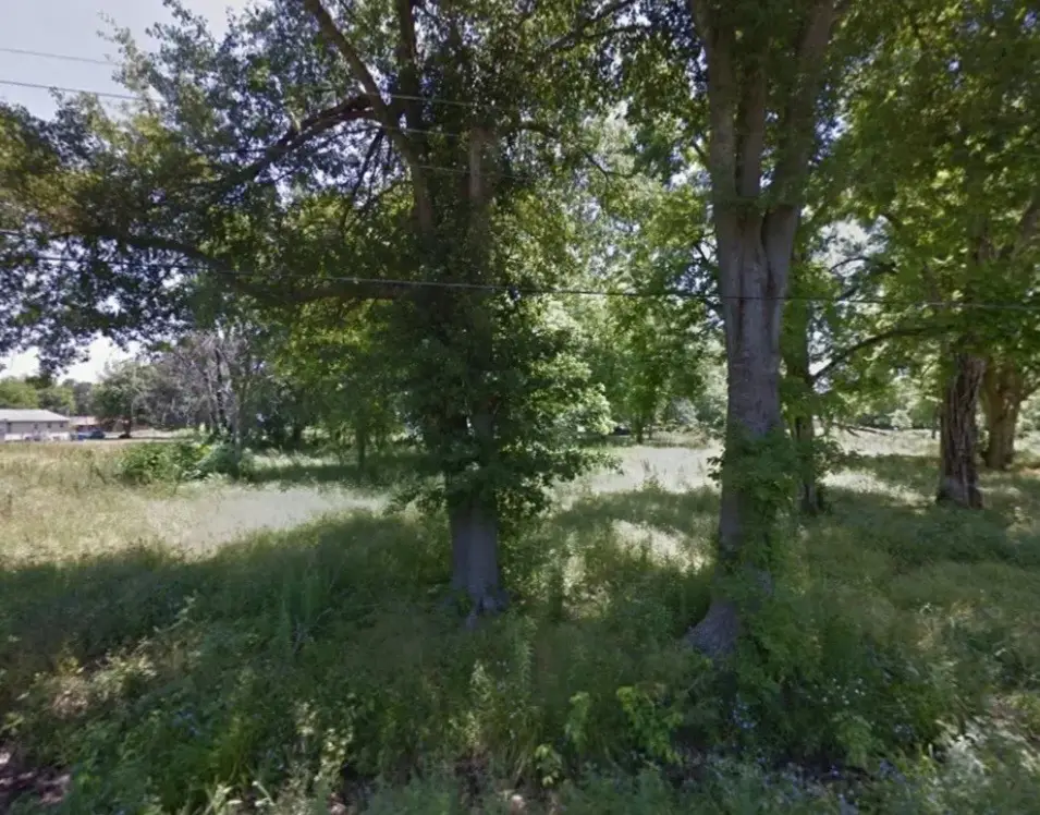 Lot 1 N Hardy Street, Dermott, AR 71638 - #1