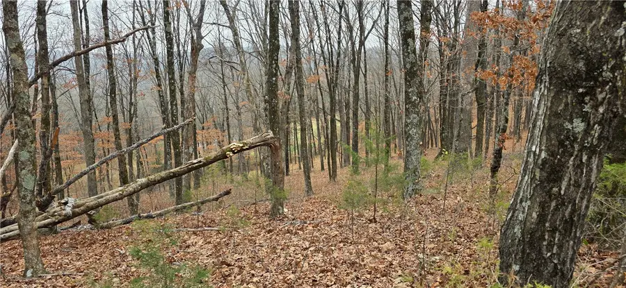 TBD Highway 74, Winslow, AR 72959 - Image #2