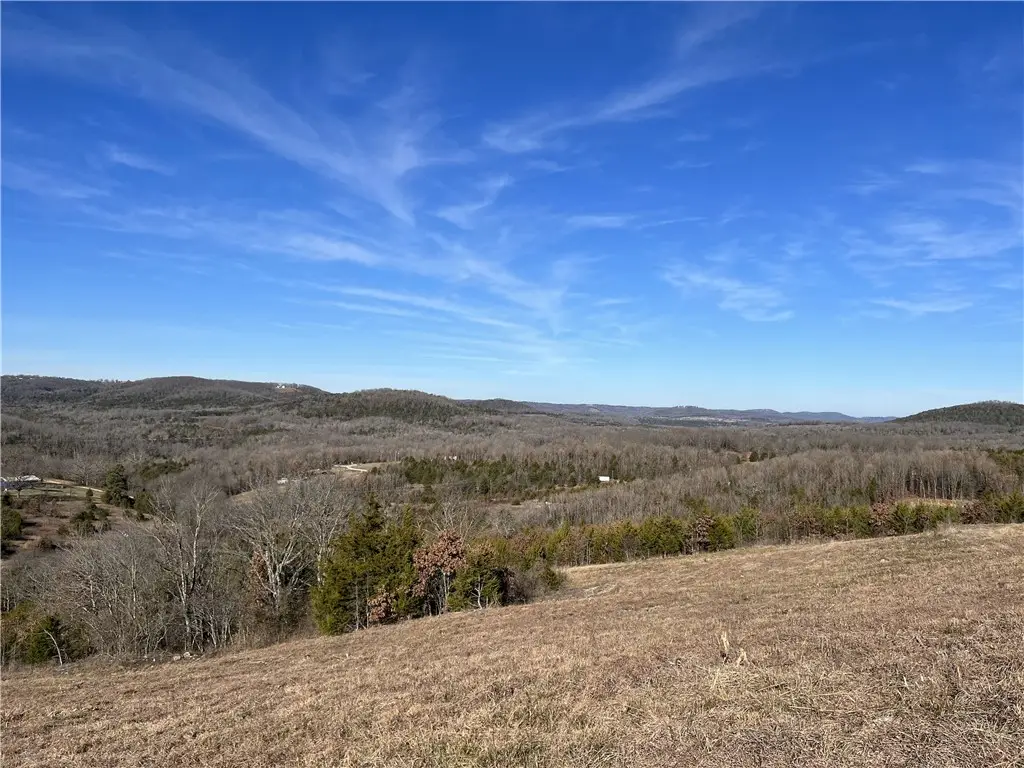 Whitetail Drive, Harrison, AR 72601 - #1