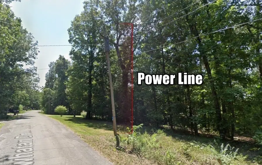 Lot 10 Powhatan Drive, Cherokee Village, AR 72529 - #2