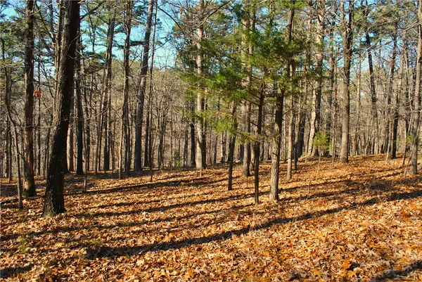 3.1 acres Railroad Cut Road, Rogers, AR 72756