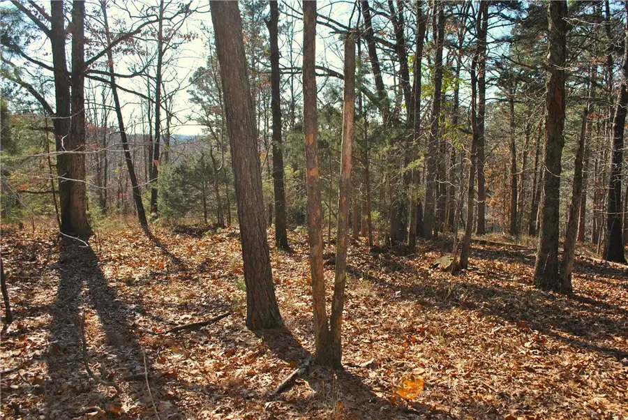 3.1 acres Railroad Cut Road, Rogers, AR 72756 - Image #2