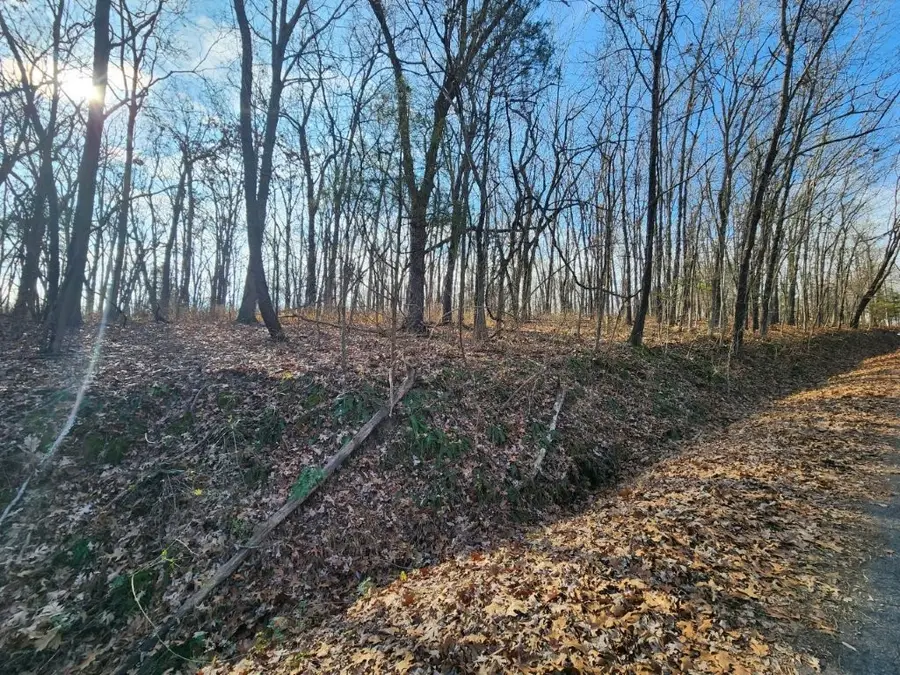 Lot 8 Chelmsworth Circle, Bella Vista, AR 72715 - Image #3