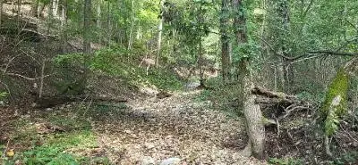 TBD Saint Simmons Lane, Eureka Springs, AR 72632 - Image #3