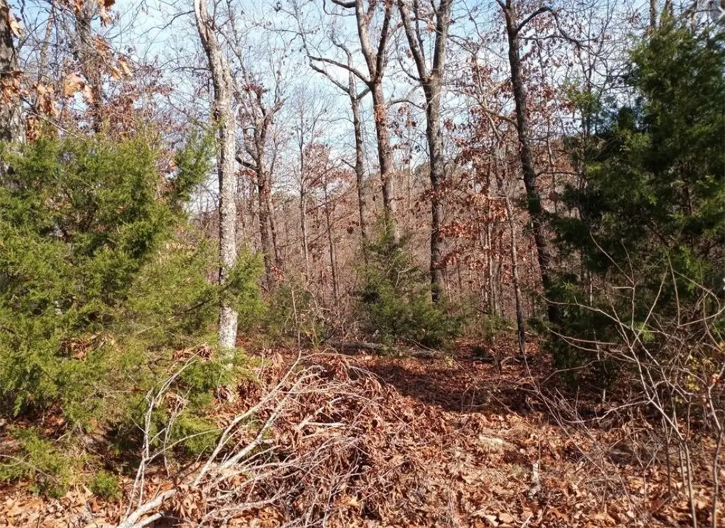 Lot 15 Block 5 Fountainhall Lane, Bella Vista, AR 72715 - Image #1