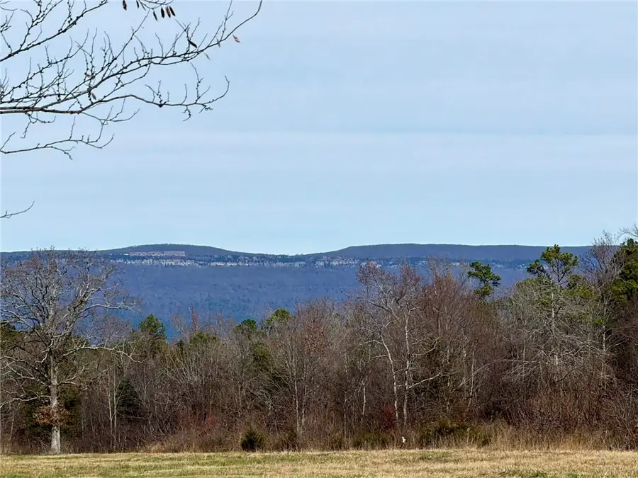 17430 Forest Rd 18, Havana, AR 72842 - #3