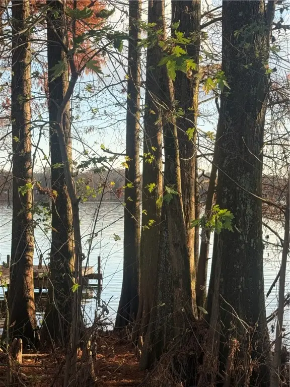 Address Withheld By Seller, Atkins, AR 72823