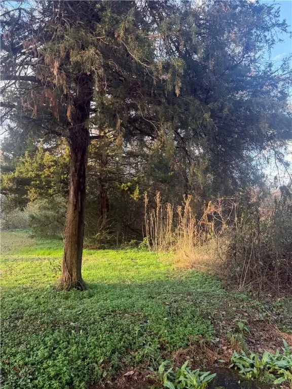 Address Withheld By Seller, Atkins, AR 72823 - #2