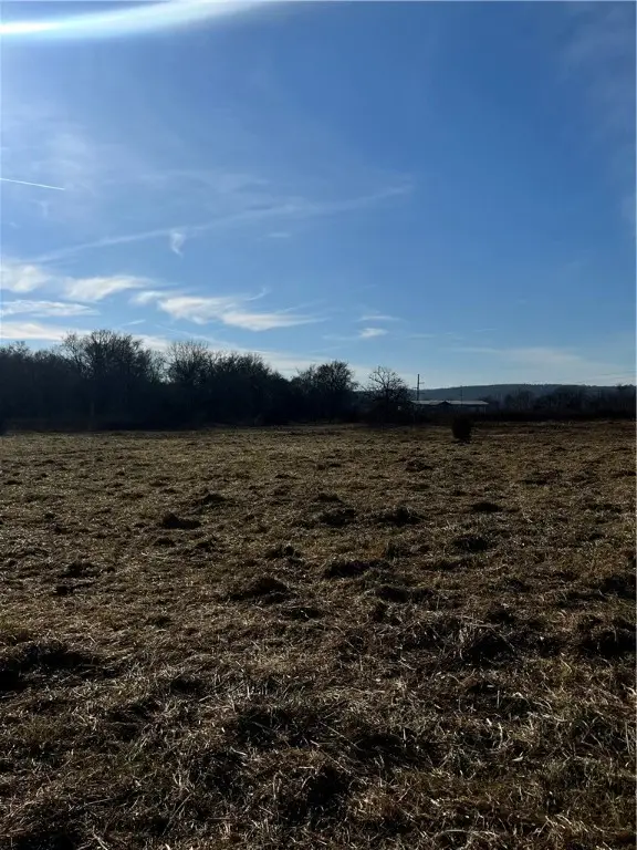 TBD Bug Scuffle Road, Cove Creek, AR 72744 - Image #2