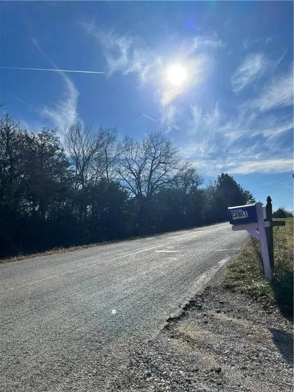 TBD Bug Scuffle Road, Cove Creek, AR 72744 - Image #3